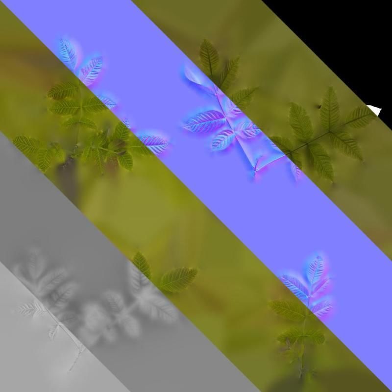 Anydrafts Juglans regia Atlas 03 Texture_8