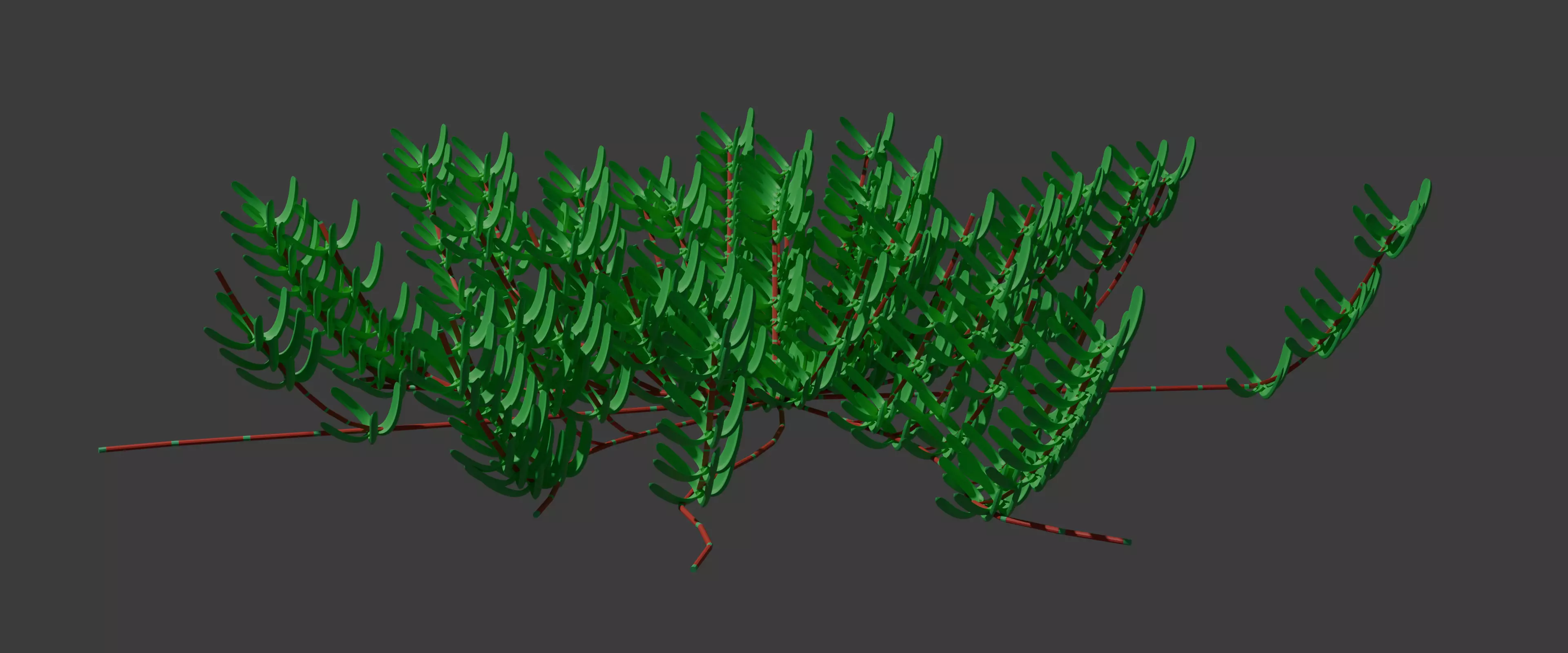 Carpobrotus edulis 3D model