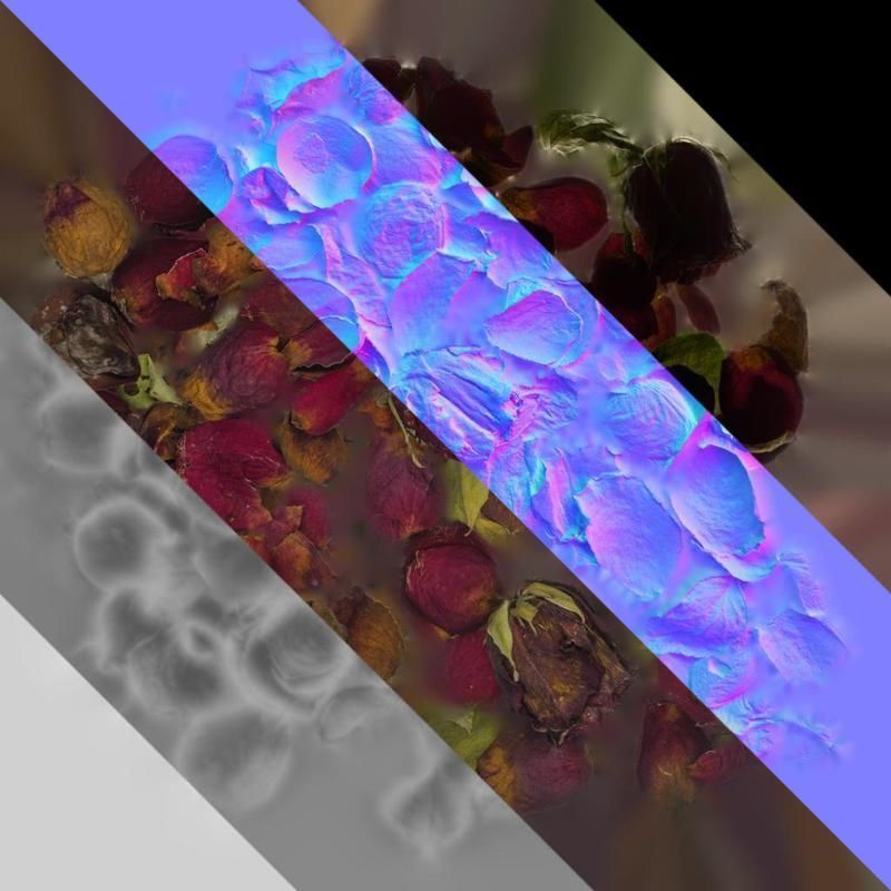 Anydrafts Rosa rugosa Atlas 03 Texture_8