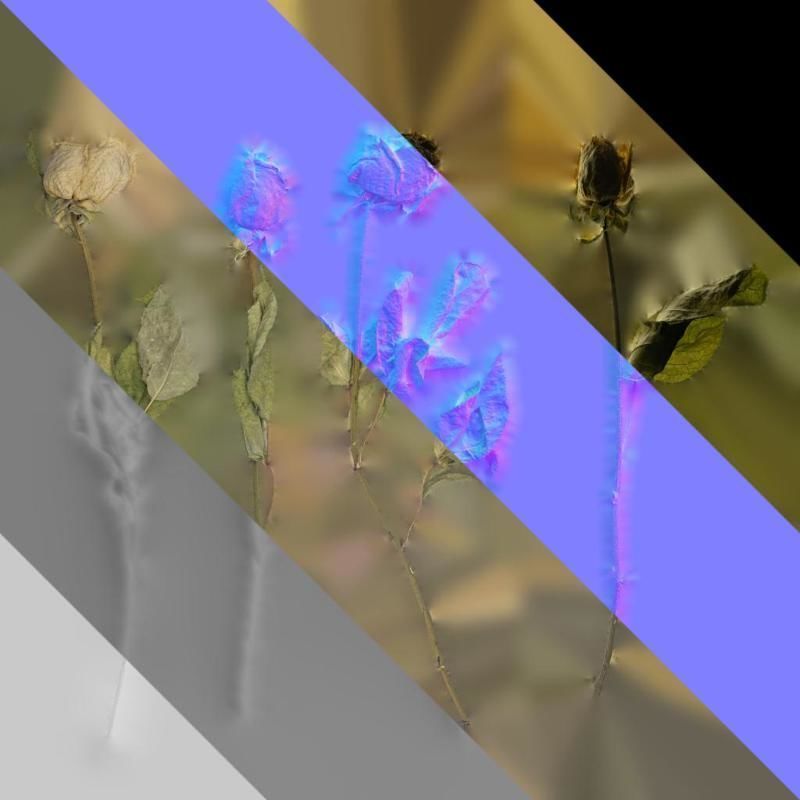 Anydrafts Rosa rugosa Atlas 04 Texture_8