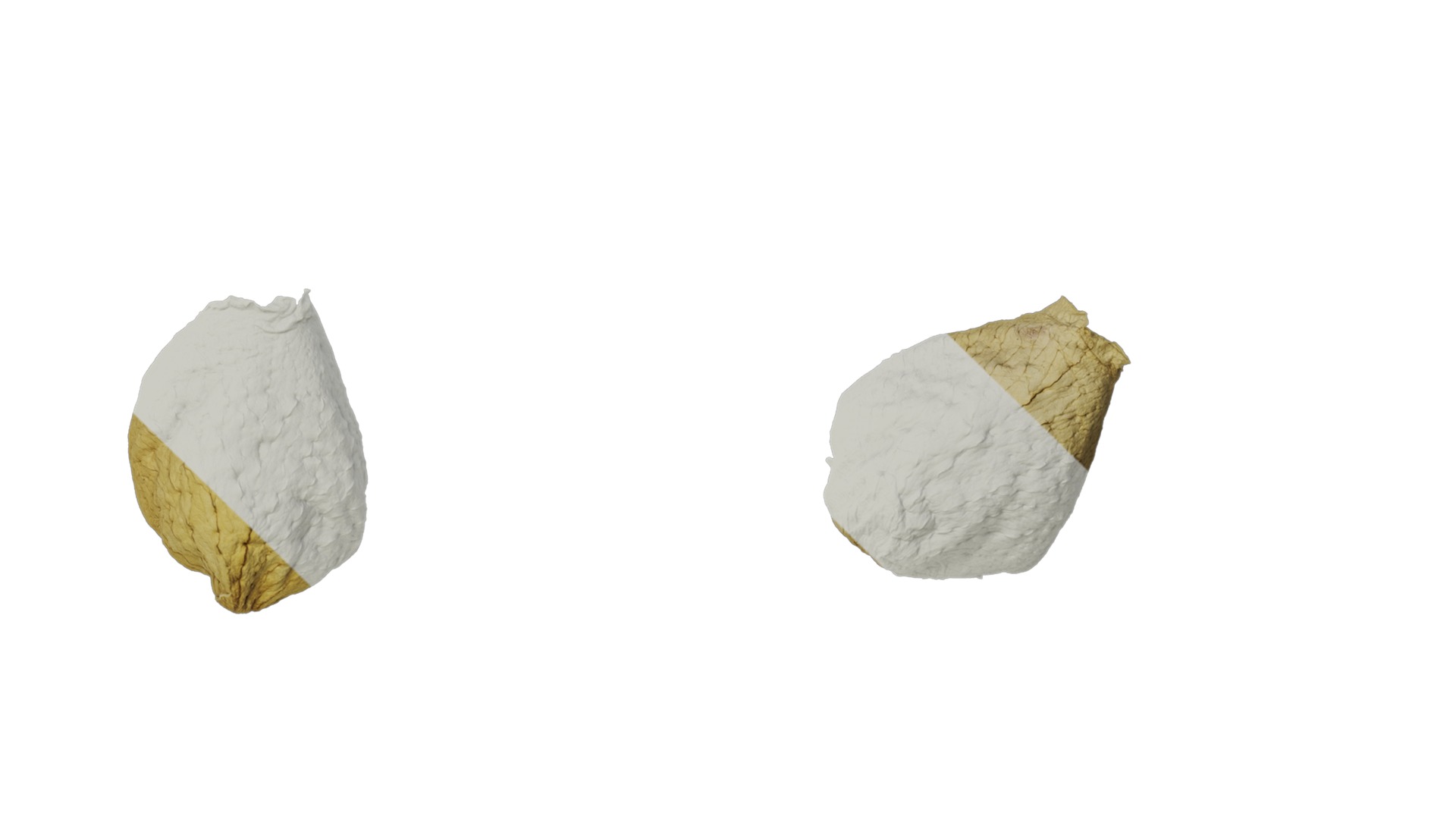 Anydrafts Rosa rugosa Atlas 05 Texture_4