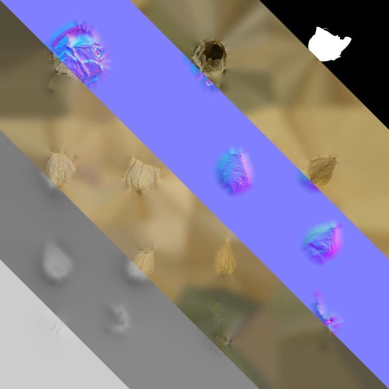 Anydrafts Rosa rugosa Atlas 05 Texture_8