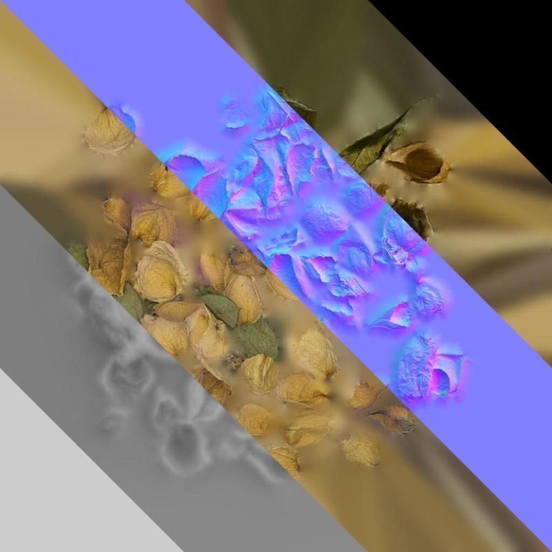 Anydrafts Rosa rugosa Atlas 06 Texture_8