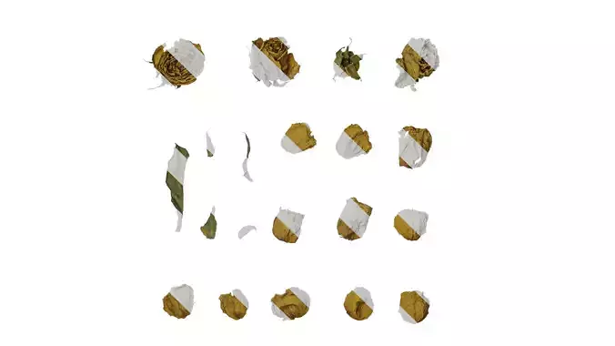 Anydrafts Rosa rugosa Atlas 08