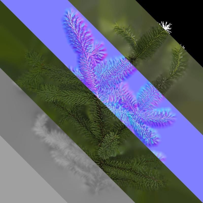 Anydrafts Picea asperata Atlas 06 Texture_8