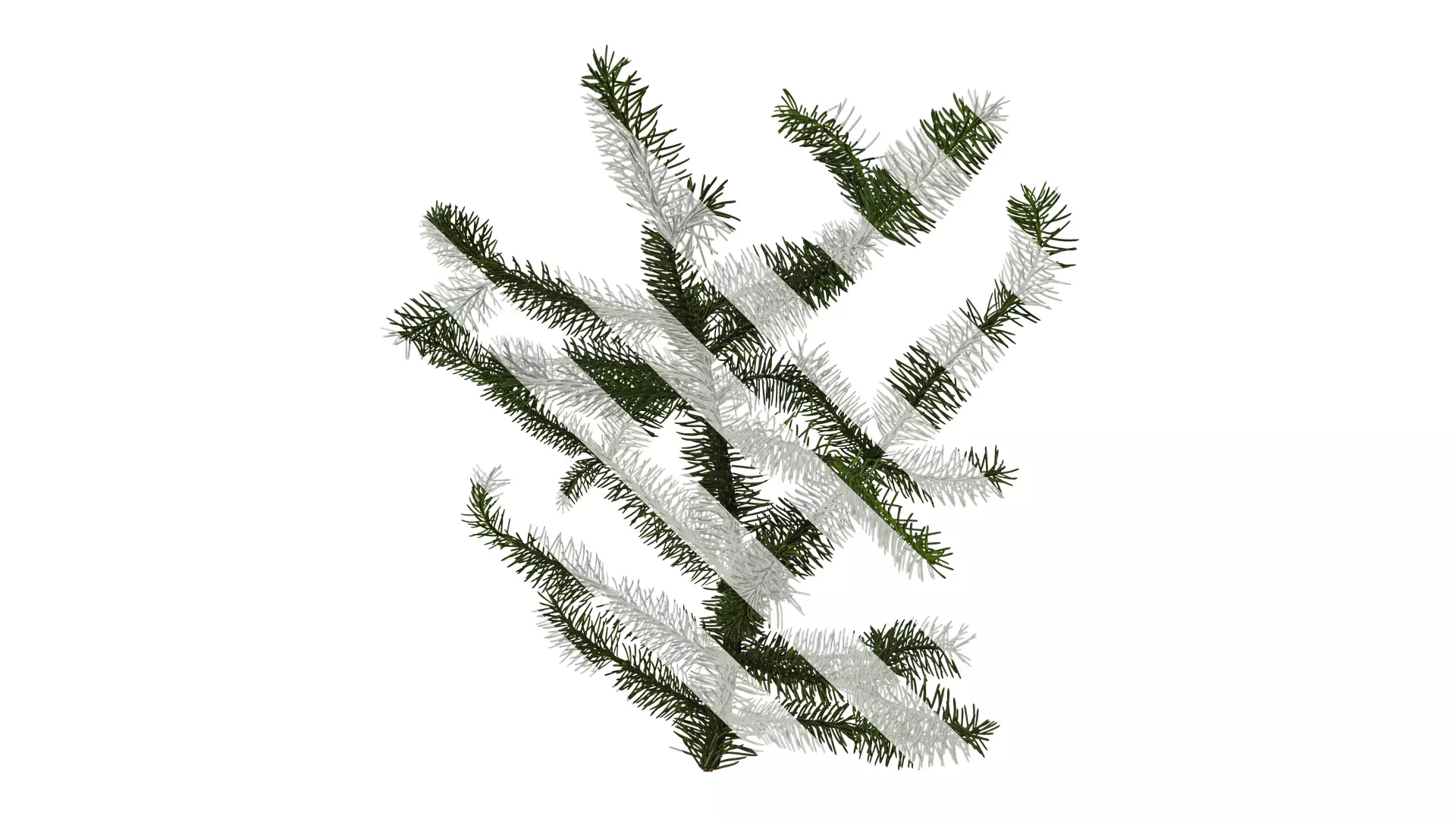 Anydrafts Picea asperata Atlas 06 Texture_0