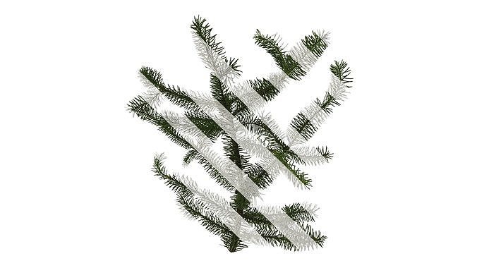 Anydrafts Picea asperata Atlas 06 Texture