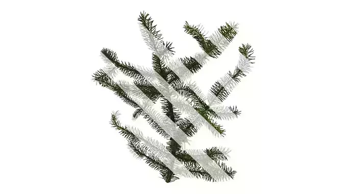 Anydrafts Picea asperata Atlas 06