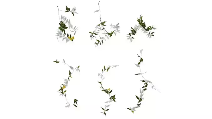 Anydrafts Gelsemium sempervirens Atlas 05 Texture