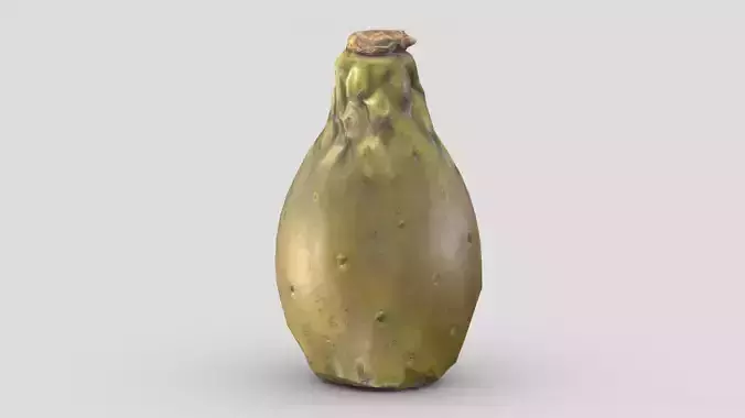 Prickly Pear Cactus Fruit Low Poly Game Asset