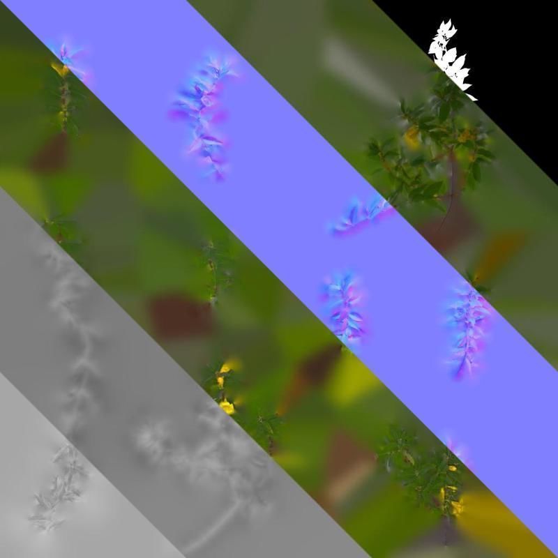 Anydrafts Gelsemium sempervirens Atlas 06 Texture_8