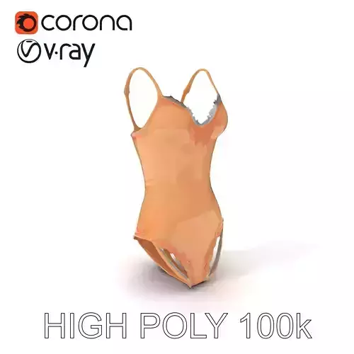 Elegant Lace Bodysuit Model Pack