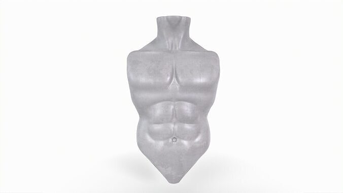 Male Torso Basemesh 3D print model