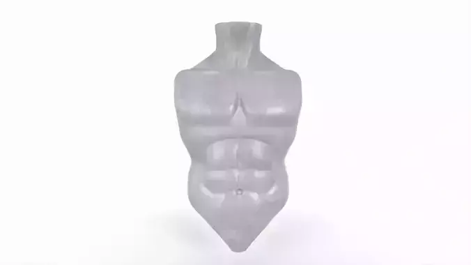 Male Torso Basemesh 3D print model