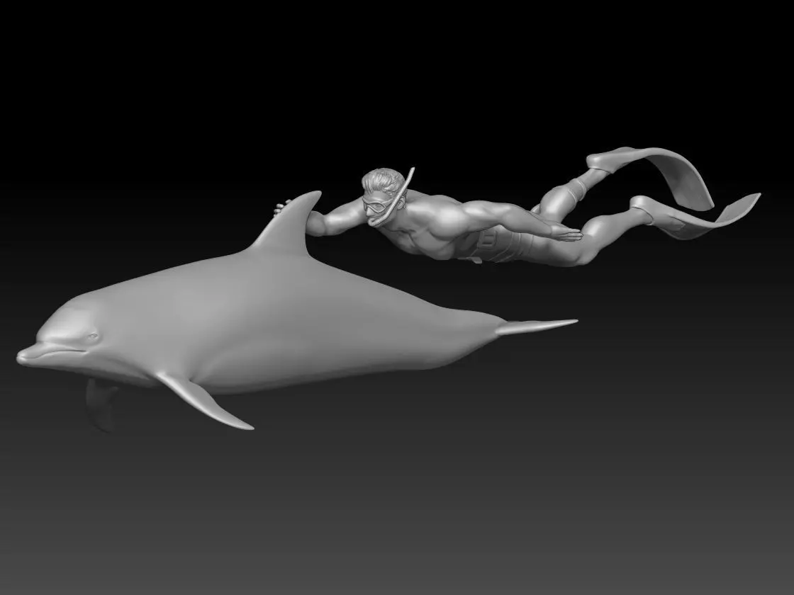 snorkeling 2025 boy and dolphin 3D print model_0