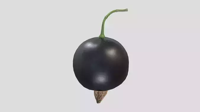 Fruit Ribes Nigrum Low Poly