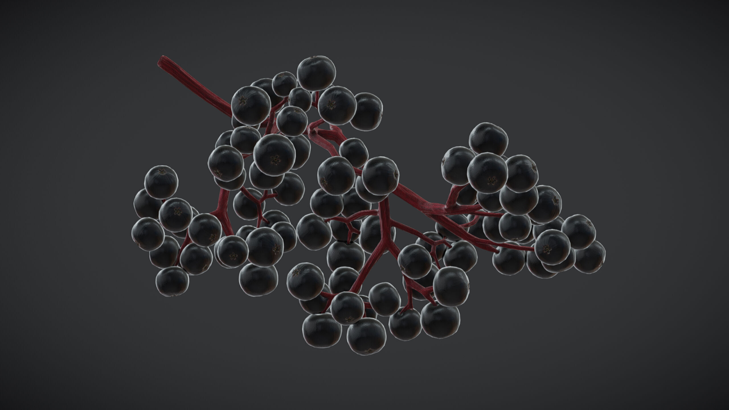 Fruit Sambucus Low Poly Low-poly 3D model_4
