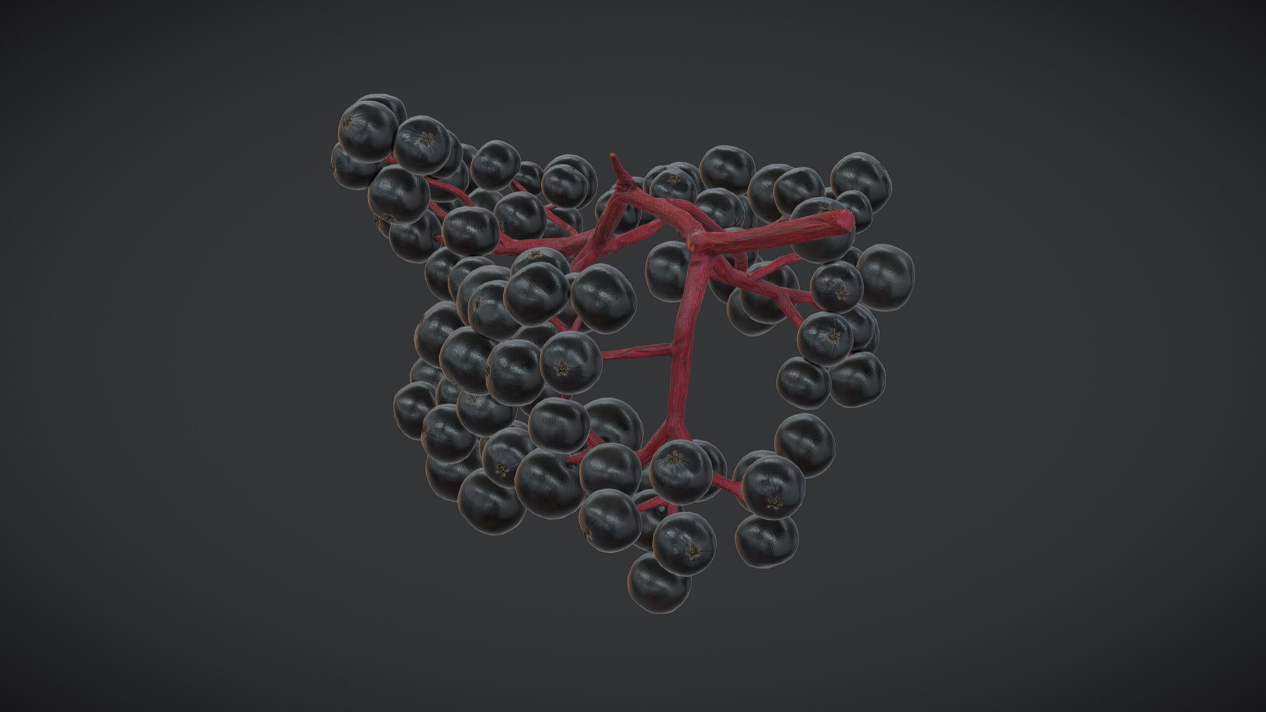 Fruit Sambucus Low Poly Low-poly 3D model_6