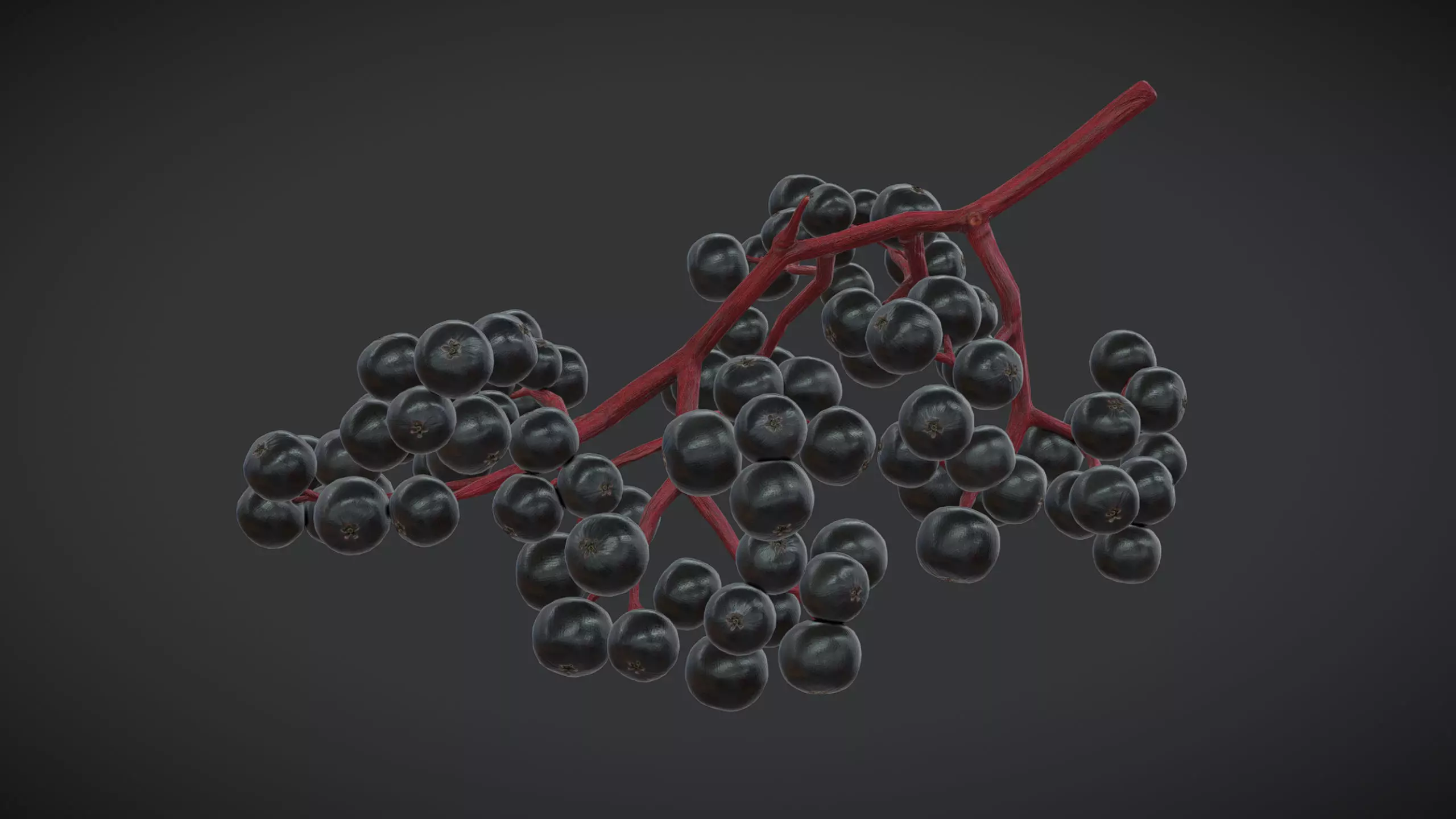Fruit Sambucus Low Poly Low-poly 3D model_0