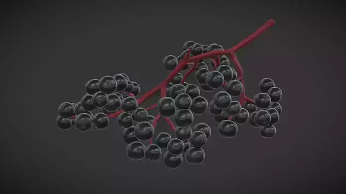 Fruit Sambucus Low Poly Low-poly 3D model