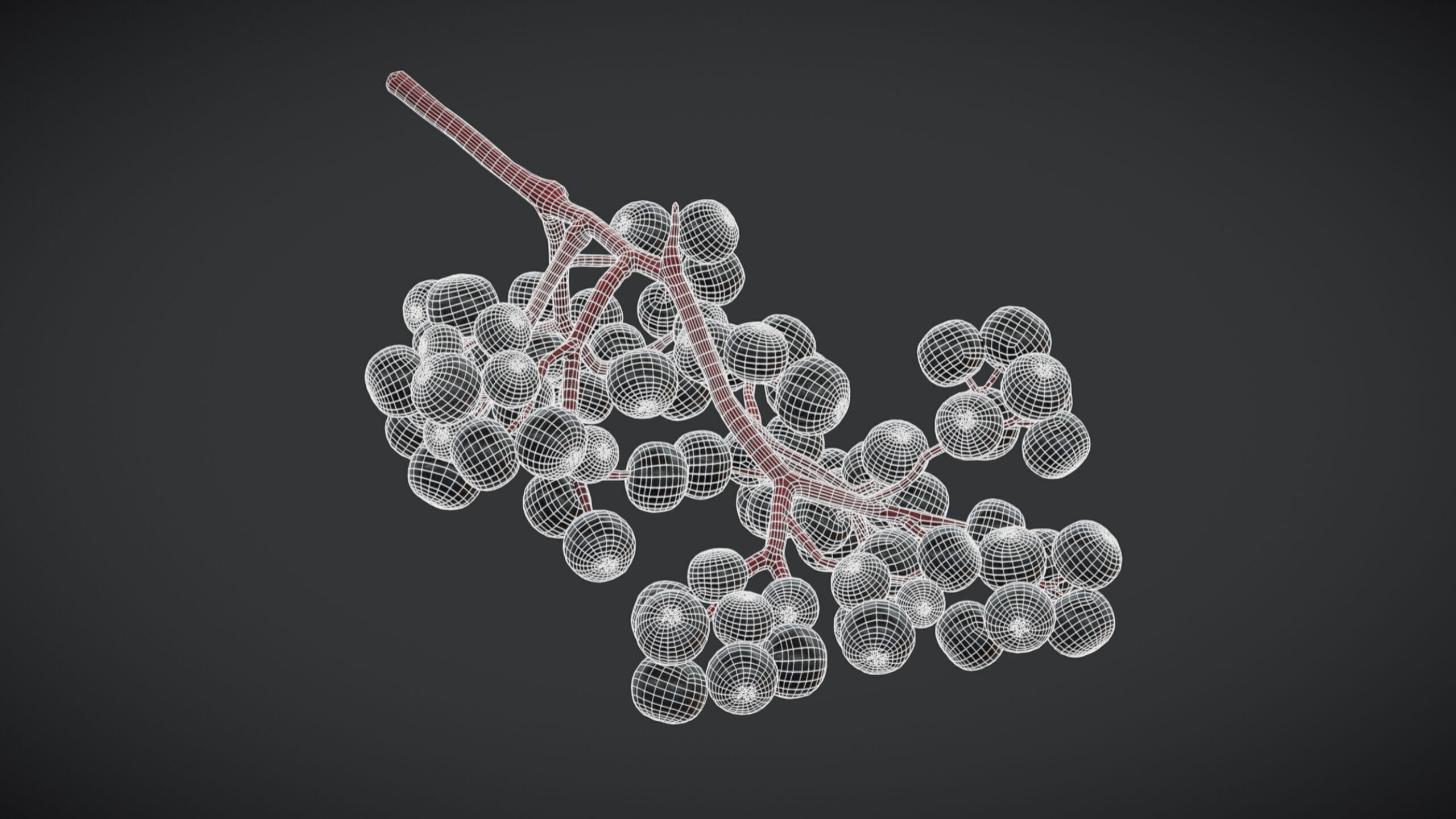 Fruit Sambucus Low Poly Low-poly 3D model_3