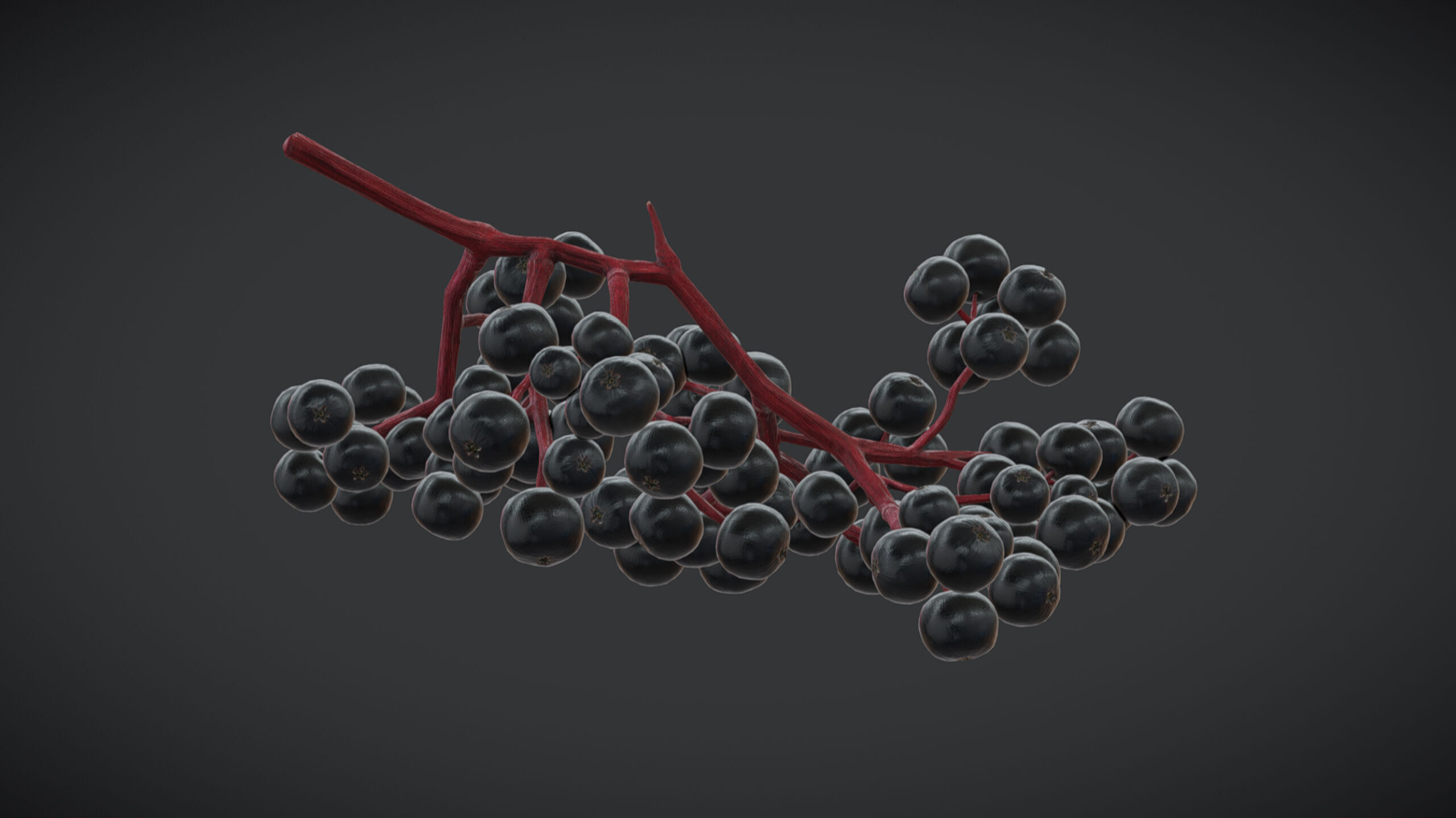 Fruit Sambucus Low Poly Low-poly 3D model_7