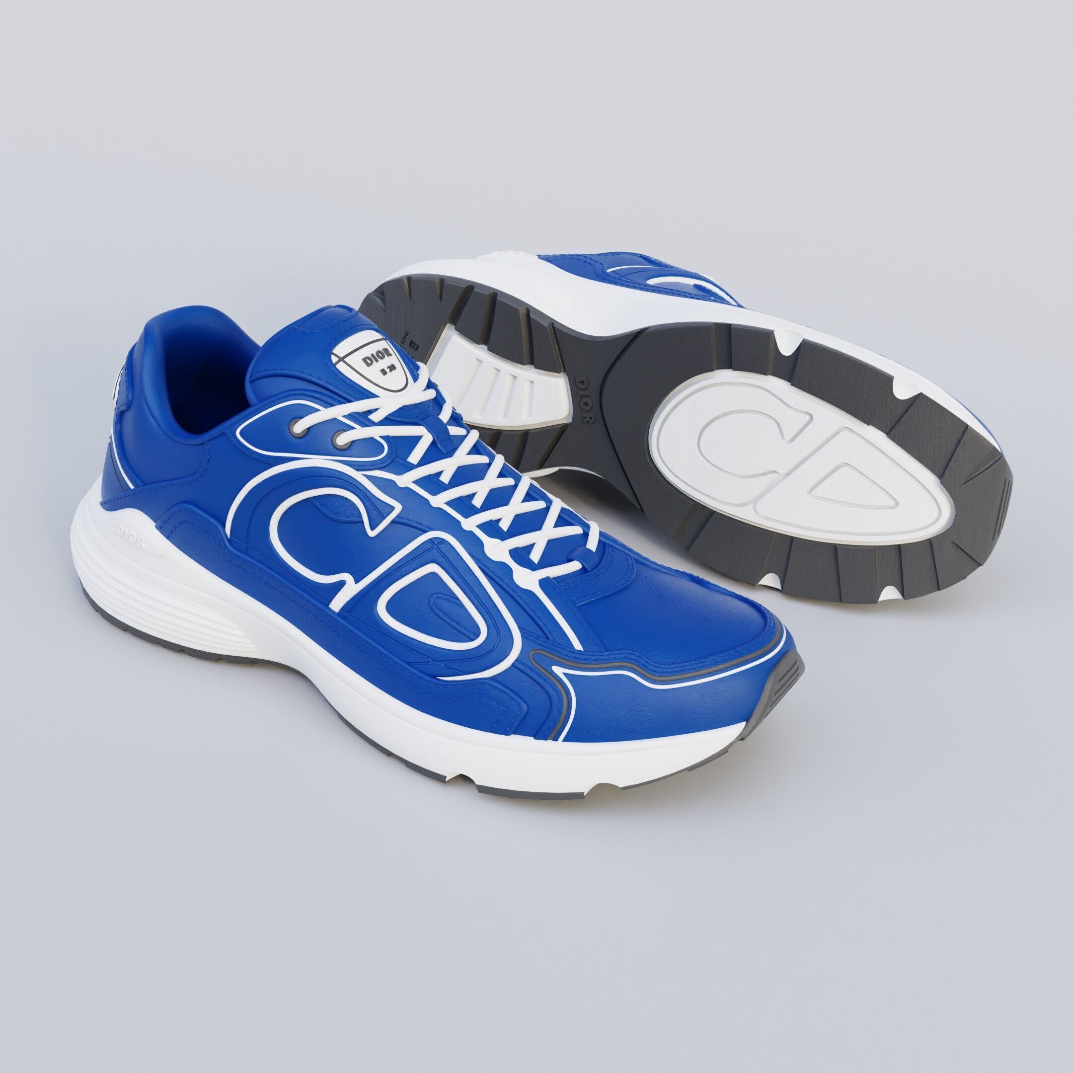 Dior B30 Countdown Sneaker 3D printed shoes Dior 3D model 3D