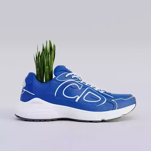 Dior B30 Countdown Sneaker 3D printed shoes Dior 3D print model