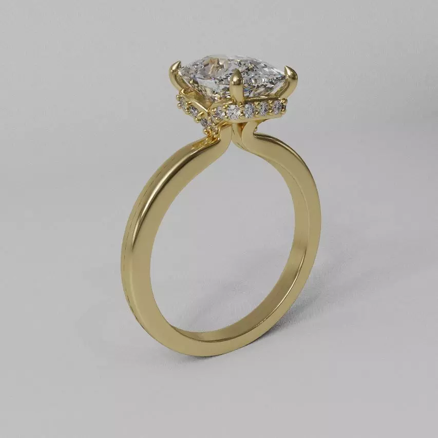  Hidden halo ring 3D print model_0