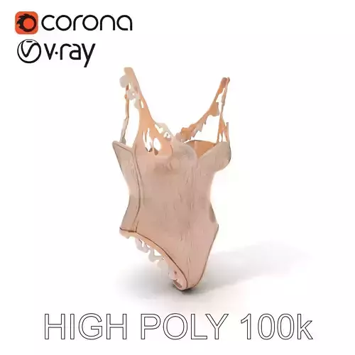 Elegant Lace Bodysuit Model Pack