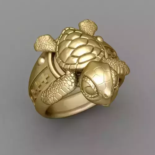 Antique Turtle Ring
