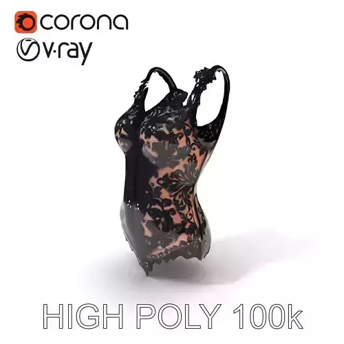 Lace Bodysuit Fashion Model Pack