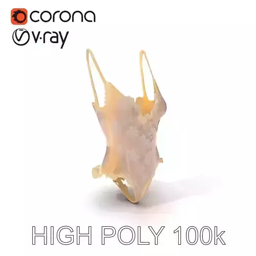 Floral Lace Bodysuit D Model Pack