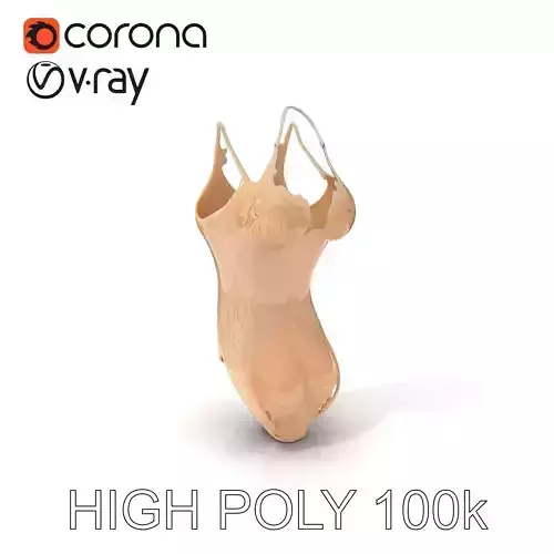 Elegant Lace Bodysuit D Model Pack