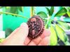 3D Print Skull Biker Keychain - For Motorcycle Enthusiasts 3D print model_1