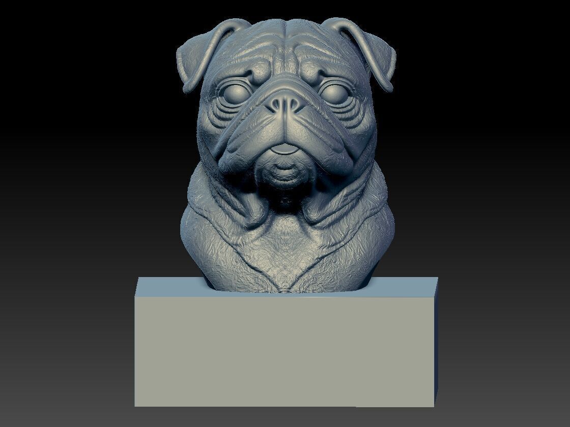 Pug dog bust - head dog model - 3D print 3D print model_2