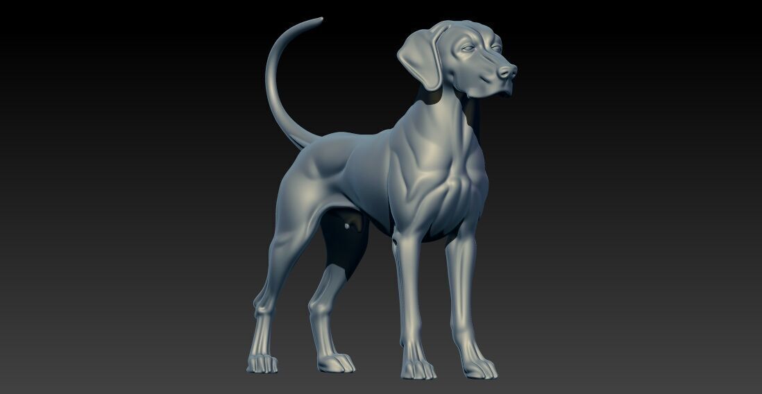 Weimaraner model - Weimaraner Vorstehhund - 3D print 3D print model_2