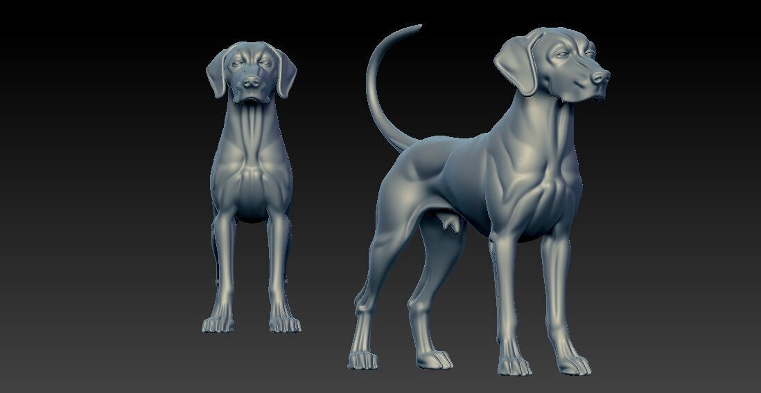 Weimaraner model - Weimaraner Vorstehhund - 3D print 3D print model_1
