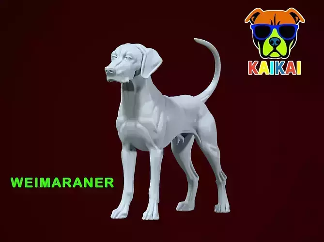 Weimaraner model - Weimaraner Vorstehhund - 3D print 3D print model Weimaraner model - Weimaraner Vorstehhund - 3D print 3D print model