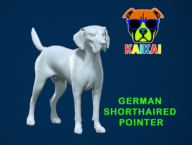 German Shorthaired Pointer model dog - 3D print 3D print model
