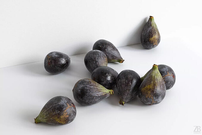 Fig   3D model