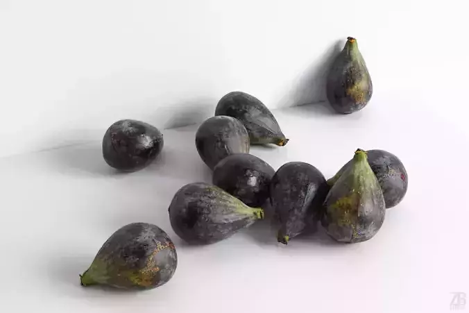 Fig  