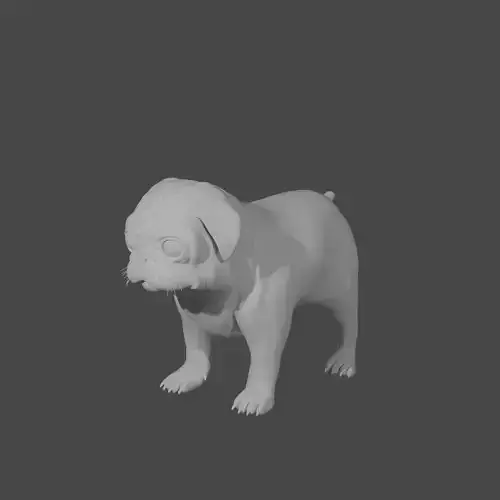 Pug basemesh