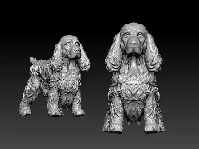 Cocker Spaniel dog - American Cocker Spaniel dog - 3D print 3D print model Cocker Spaniel dog - American Cocker Spaniel dog - 3D print 3D print model