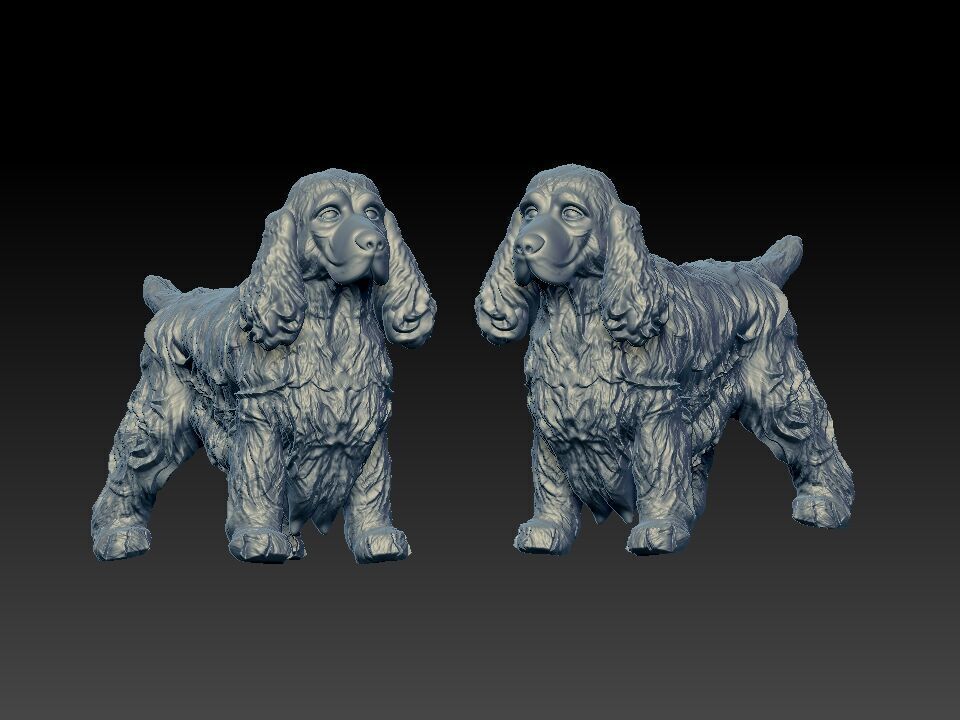 Cocker Spaniel dog - American Cocker Spaniel dog - 3D print 3D print model_1