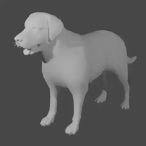 Labrador basemesh