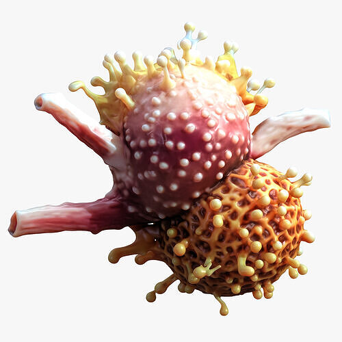  Cancer Cell Tumor 3D model