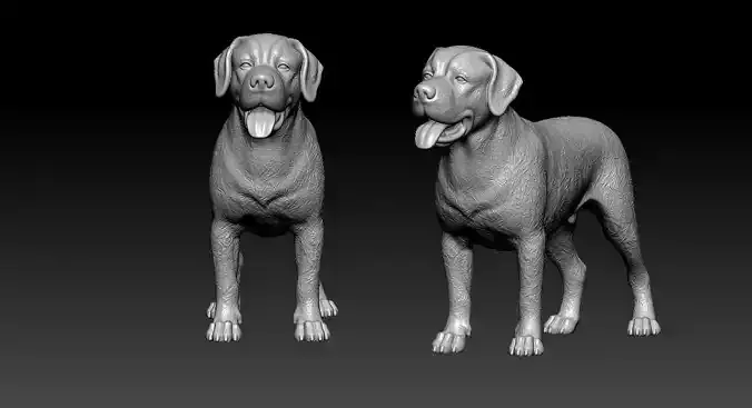 Greater Swiss Mountain Dog model - 3D print 3D print model