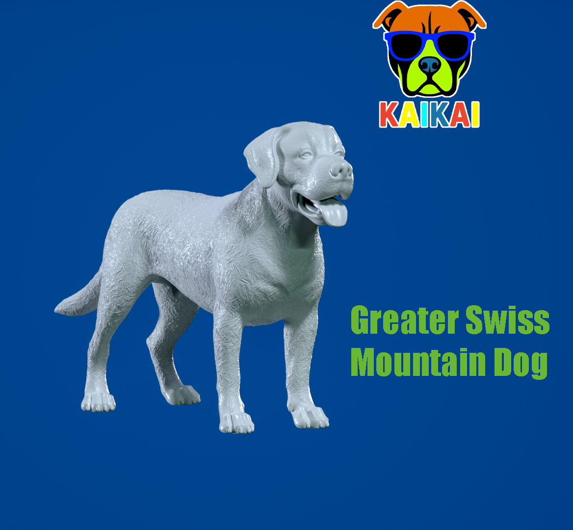 Greater Swiss Mountain Dog model - 3D print 3D print model_3