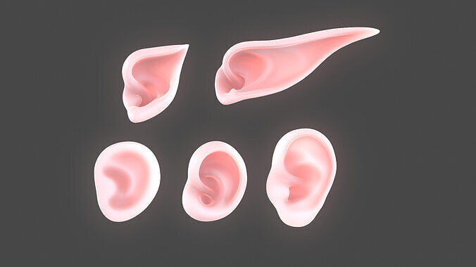Versatile Ear Base Mesh Pack - 5 Stylized and Realistic Ears  3D model